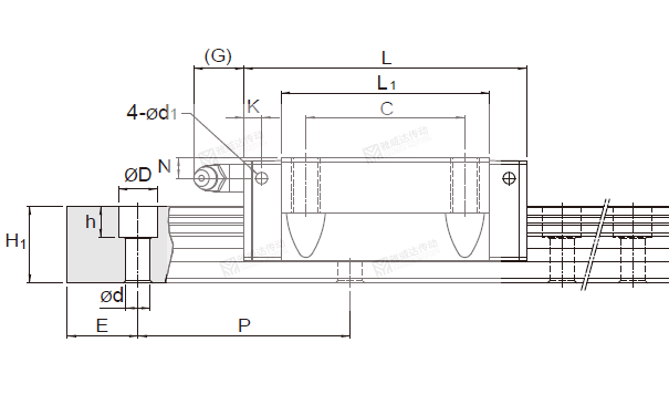 PMI銀泰直線妖精国产亚洲精品无码成人規格型號尺寸表